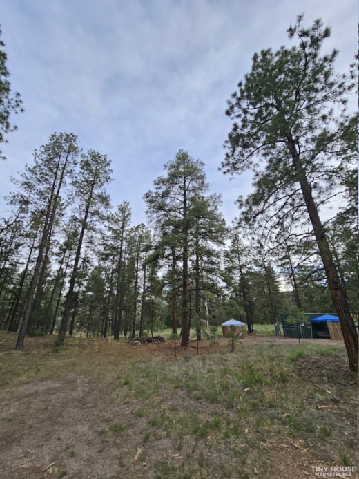 Jemez Springs 