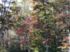 Parking Site for Rent in Rocky Mount, VA - Slide 2 thumbnail