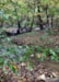 Parking Site for Rent in Rocky Mount, VA - Slide 5 thumbnail