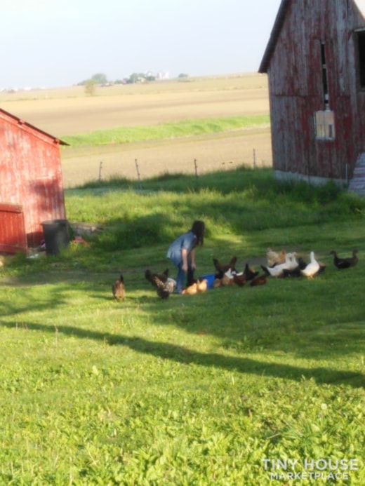 RURAL FARM LOCATION FOR TINY HOME PARKING