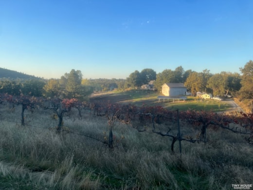 Sustainable Vineyard and Permaculture Community in Sierra Foothills