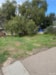 Tiny Home Land Lease - Slide 2 thumbnail