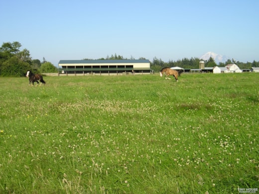 Tiny House Space Available on a Peaceful Horse Ranch