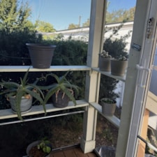 Tiny Tree of Life Home for Sale - Image 3 Thumbnail